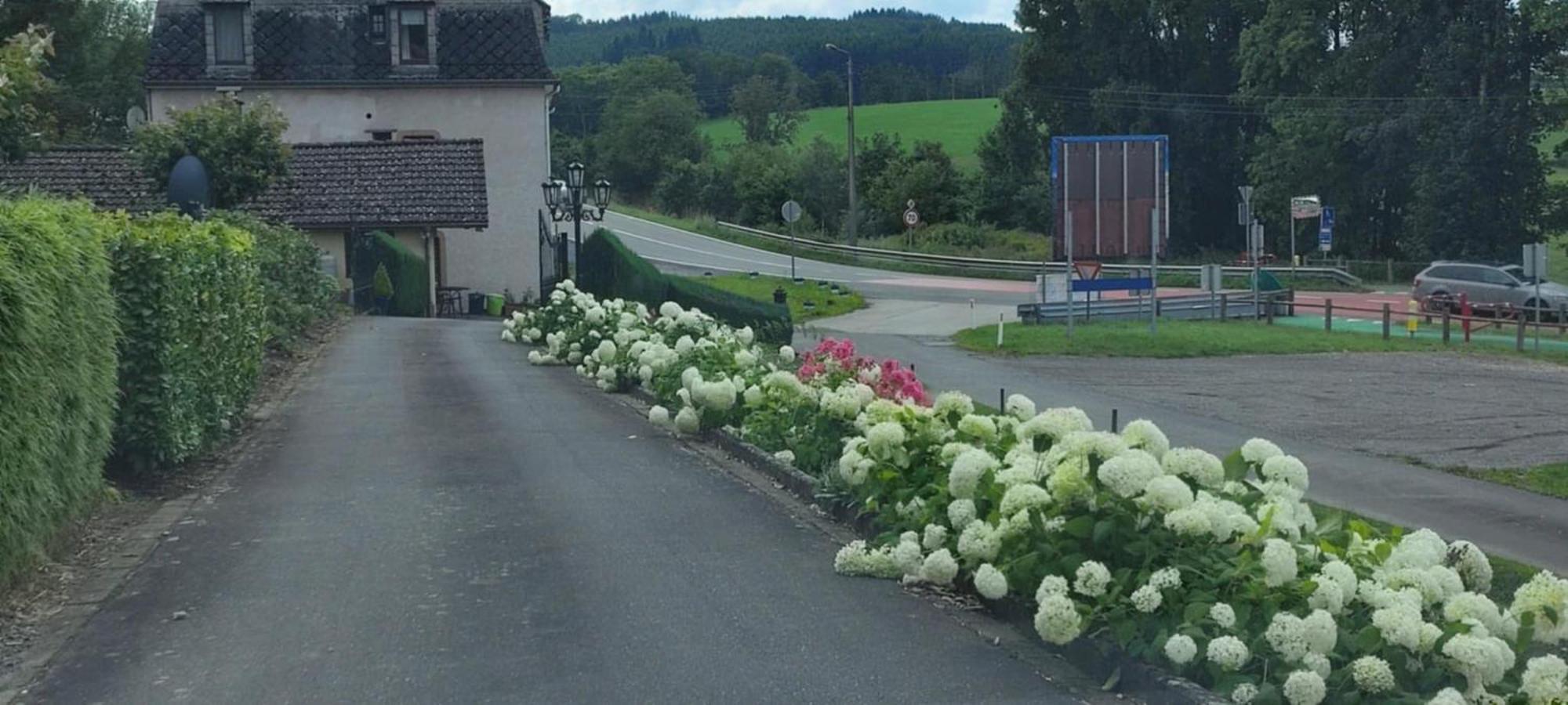 Chalet Rose Villa Burg Reuland Dış mekan fotoğraf